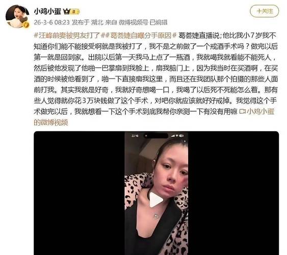 娱乐圈中家暴_娱乐圈被家暴女星_家暴退出娱乐圈